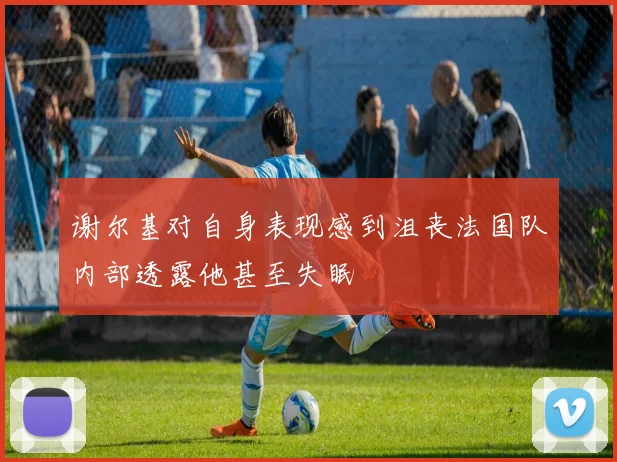 谢尔基对自身表现感到沮丧法国队内部透露他甚至失眠