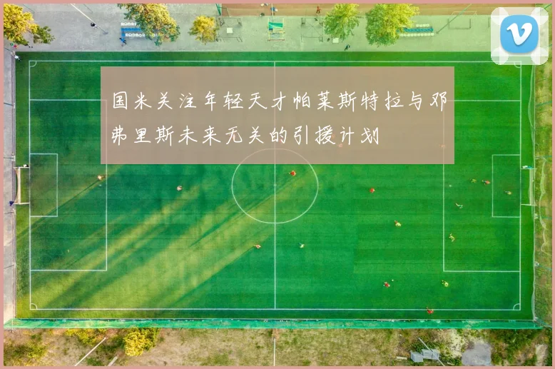 国米关注年轻天才帕莱斯特拉与邓弗里斯未来无关的引援计划